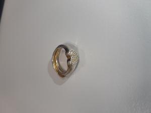 CS777/2024 ANELLO